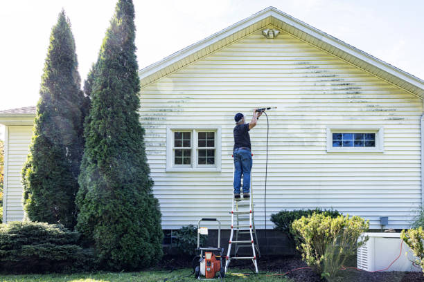Best Roof Pressure Washing  in Lake Tansi, TN